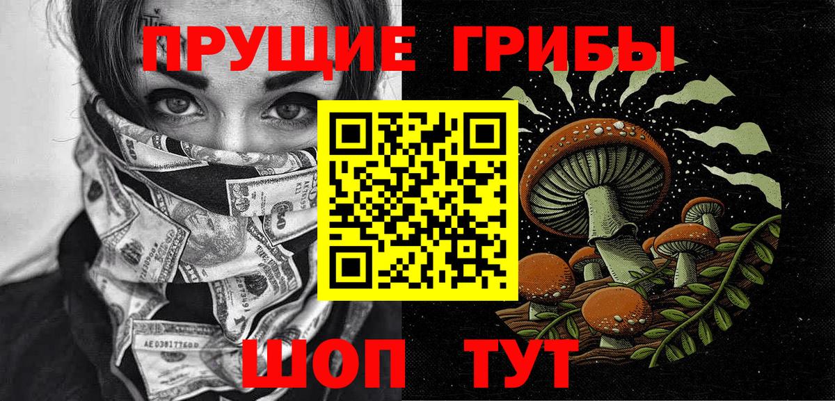 Новокубанск  Галлюциногенные грибы Psilocybe  Вход с VPN  Галлюциногенные грибы мицелий 
