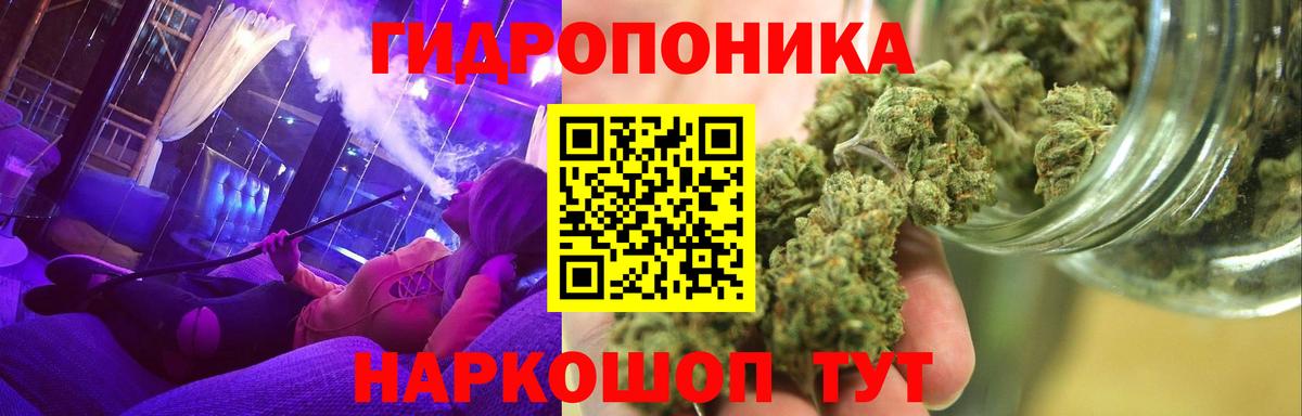 Канабис планчик  Вход с VPN  Новокубанск  Бошки Шишки OG Kush  Бошки Шишки LSD WEED 