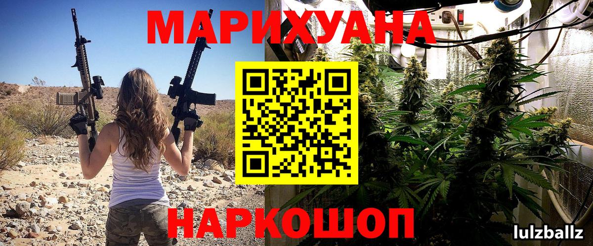 Канабис сатива Новокубанск